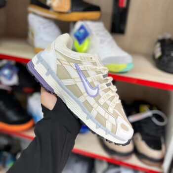 Zapatilla Nike P 6000 Beige Mora